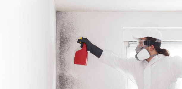 Best Mold Damage Repair  in Lykens, PA