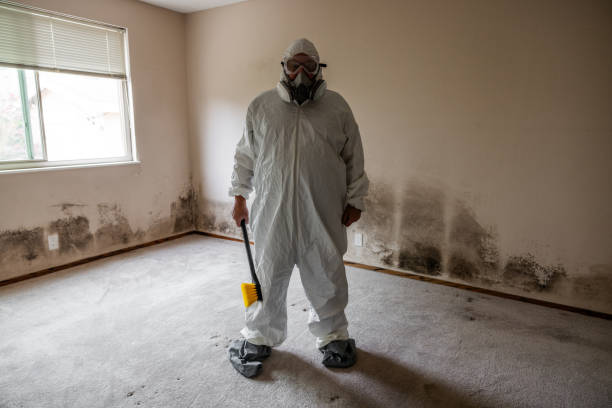 Best Residential Mold Removal  in Lykens, PA